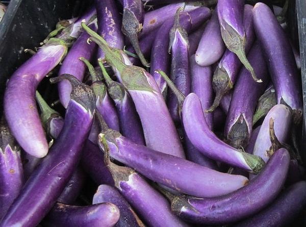 Eggplant: Long Purple - seeds