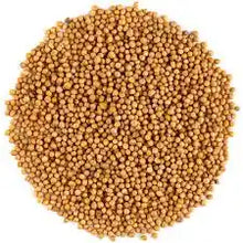 Load image into Gallery viewer, Yellow Mustard - seeds