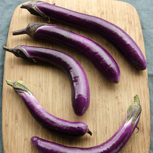 Eggplant: Ping Tung Long - seeds