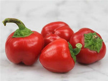 Load image into Gallery viewer, Peppers, Sweet: Mixed Chocolate and Red Mini - seeds