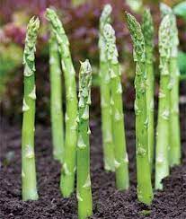 Asparagus (3/4 lb)