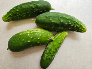 Cucumbers (three)