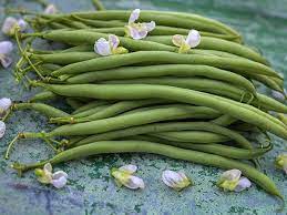 Beans: Calima - seeds