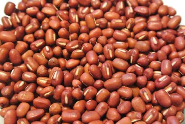Beans: Adzuki Hokkaido - seeds