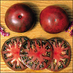Tomato: Black from Tula - seeds