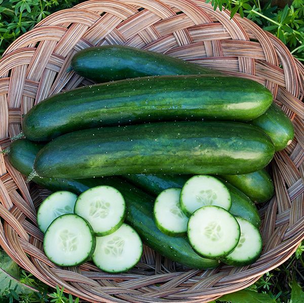 Cucumber: Green Finger - seeds