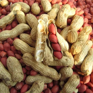 Peanuts: Northern Hardy Valencia - seeds