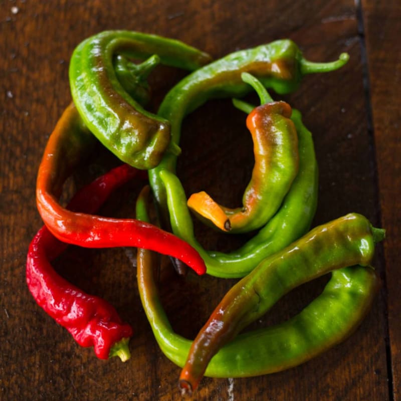 Peppers, Hot: Portugal - seeds