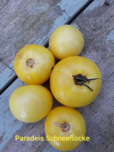 Tomato: Paradeis Schneeflocke - seeds