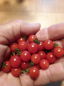 Tomato: Spoon - seeds