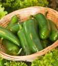Jalapenos - three peppers