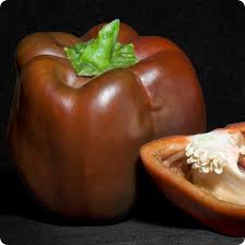 Peppers, Sweet: Sweet Chocolate - seedling