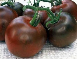 Tomato: Black Prince - seeds