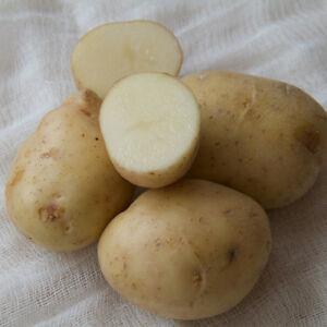 Potatoes: Estima (2 lbs)