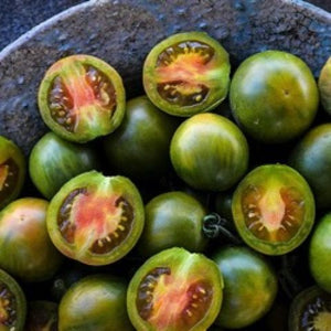 Tomato: Evil Olive - seedling
