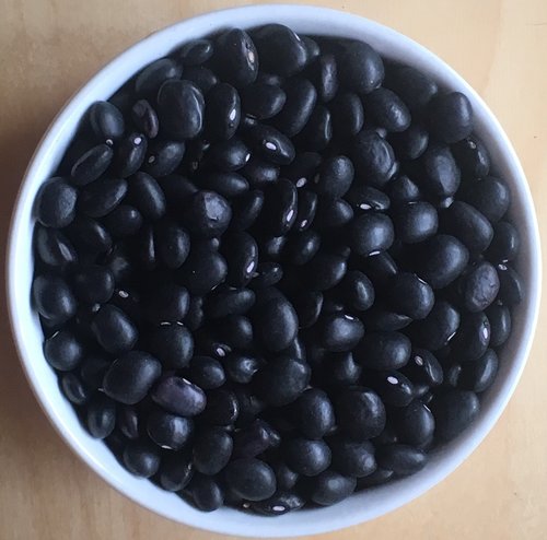 Beans: Hopi Black - seeds