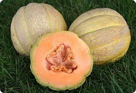 Melon: Amish - seeds