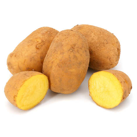 Potatoes: Nicola (2 lbs)