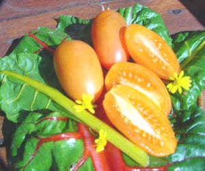 Tomato: Orange Banana - seeds