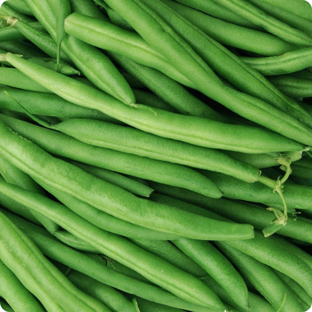 Beans: Provider - seeds