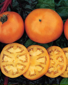 Tomato: Russian Persimmon - seeds