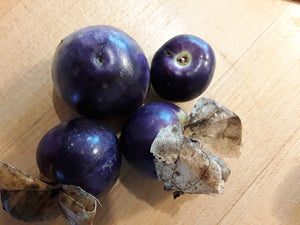 Tomatillo: Purple - seeds