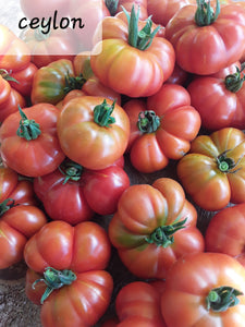 Tomato: Ceylon - seeds