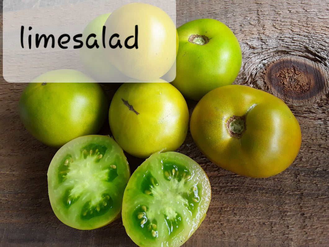 Tomato: Lime Salad - seeds