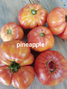 Tomato: Pineapple - seeds