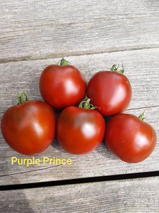Tomato: Purple Prince - seeds