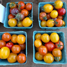 Load image into Gallery viewer, Tomatoes
