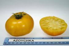 Tomato: Azoychka - seeds