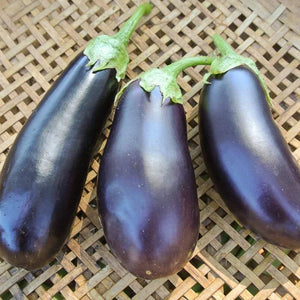 Eggplant: Diamond - seeds