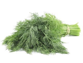 Dill - seeds