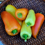 Peppers, Sweet: Feherozon - seeds