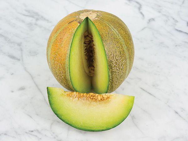 Melon: Ha'ogen - seeds