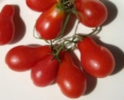 Tomato: Teardrop - seeds